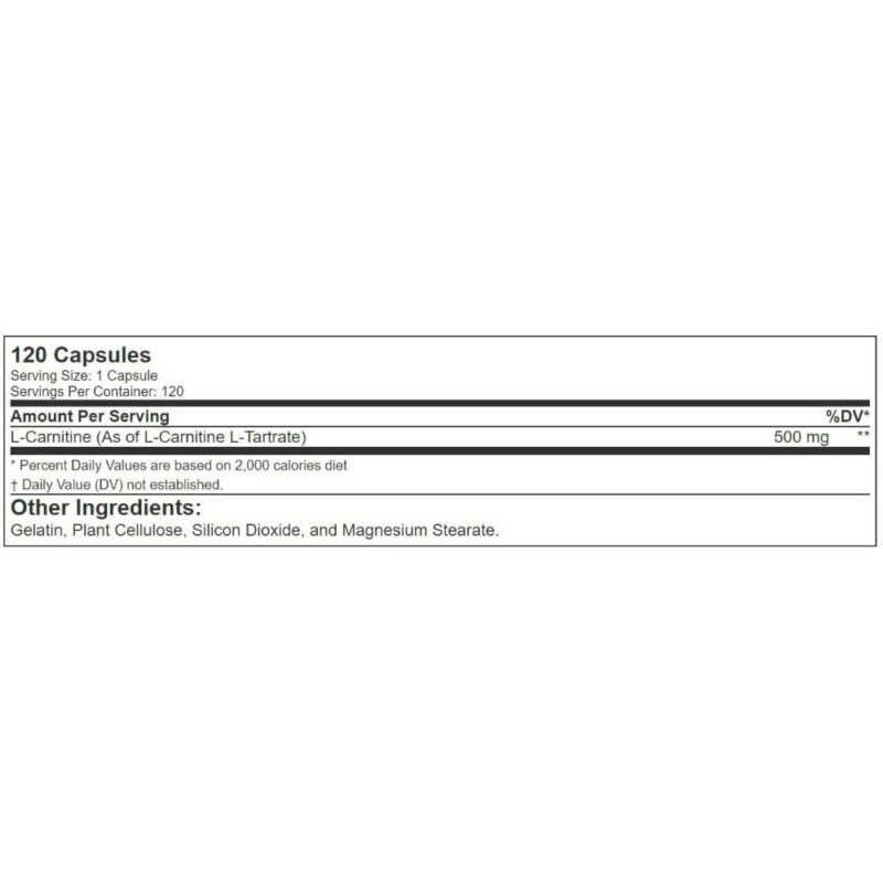 l-arginine vs l-carnitine for semen volume Amazon.com: SEMENFUL-V3 Semen Volumizer. Climax Enhancer for Male and  Female. Cum Volume Enhancement. Helps Increase Sperm Volume to Achieve  Extreme Arousals. 30 Tablets : Health & Household