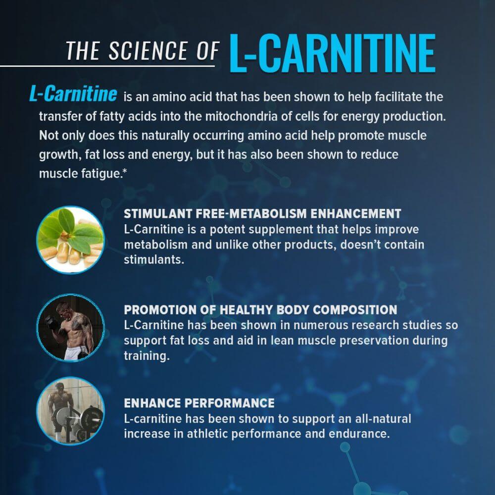 RSP L-Carnitine  suppshoptt.com