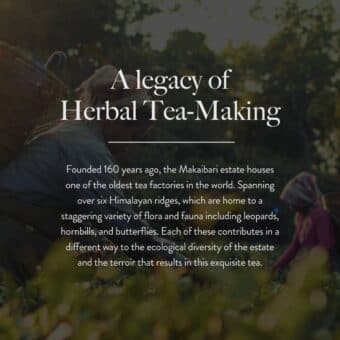 thumbnail_image