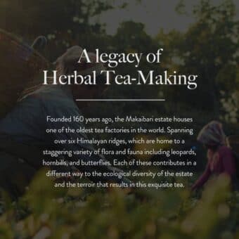 thumbnail_image